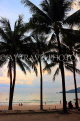Thailand, PHUKET, Patong Beach, sunset, dusk, THA4004JPL