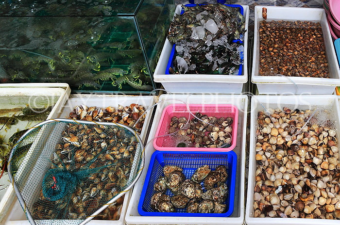 Thailand, PHUKET, Rawai, fishing village, restaurant, shellfish, THA3980JPL