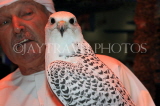 UAE, DUBAI, Falcon, national bird, UAE720JPL