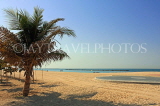 UAE, DUBAI, beach and palm tree, UAE704JPL