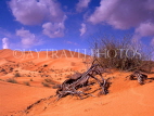 UAE, DUBAI, desert scene, sand dunes, UAE256JPL