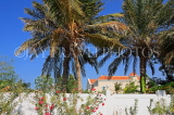 UAE, DUBAI, house and palm trees, UAE706JPL