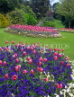UK, Avon, BATH, Royal Victoria Park, Tulip beds, BAT311JPL