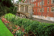 UK, Cambridgeshire, CAMBRIDGE, St John's College and Bridge of Sighs, punting in River Cam, UK5509JPL