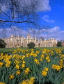 UK, Cambridgeshire, CAMBRIDGE, St John's College and daffodils, UK299JPLJSC
