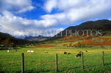 UK, Cumbria, LANGDALE VALLEY, landscape, UK5901JPL