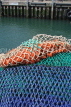 UK, Hampshire, PORTSMOUTH, fishing harbour, nets, UK6548JPL