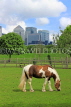 UK, LONDON, Docklands, Mudchute Park and Farm, horse grazing, Canary Wharf skyline, UK23525JPL