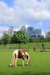 UK, LONDON, Docklands, Mudchute Park and Farm, horse grazing, Canary Wharf skyline, UK23527JPL