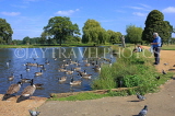 UK, LONDON, Hampton, Bushy Park, lake scene with Canada Geese, UK11354JPL