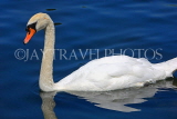 UK, LONDON, Hyde Park, The Serpentine lake and swan, UK10075JPL