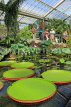 UK, LONDON, Kew Gardens, Princess of Wales Conservatory, Lily Pond, UK30045JPL