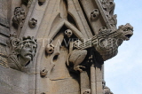 UK, Oxfordshire, OXFORD, St Mary The Virgin Church tower, stone gargoyle, UK12971JPL