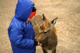 UK, Somerset, farm, child feeding young roe deer, UK5858JPL