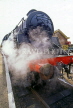 UK, Somerset, steam train at Bishops Lydeard station, UK5817JPL