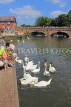 UK, Warwickshire, STRATFORD-UPON-AVON, River Avon, Tramway Bridge, feeding swans, UK25513JPL