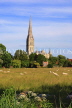 UK, Wiltshire, SALISBURY, Salisbury Cathedral, view from the Watermeadows, UK8349JPL