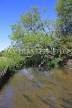UK, Wiltshire, SALISBURY, Watermeadows, River Avon and leaning tree, UK8184JPL