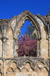 UK, Yorkshire, YORK, St Mary's Abbey ruins, UK2563JPL
