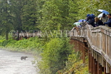 USA, Alaska, viewing platform for Grizzly Bears at Fish Creek in Hyder, US3943JPL