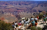 USA, Arizona, GRAND CANYON, South Rim, visitors at viewing point, GC97JPL