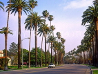 USA, California, LOS ANGELES, Beverly Hills street and palm trees,  US3900JPL