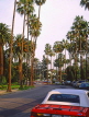 USA, California, LOS ANGELES, Beverly Hills street and palm trees,  US3901JPL
