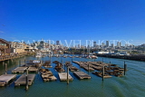 USA, California, SAN FRANCISCO, Fisherman's Wharf, skyline, Pier 39 and Sea Lions, US4146JPL