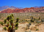 USA, Nevada, MOJAVE DESERT, Red Rock Canyon, sandstone rock, RRC87JPL