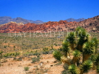 USA, Nevada, MOJAVE DESERT, Red Rock Canyon, sandstone rock formations, RRC57JPL