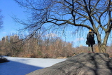 USA, New York, MANHATTAN, Central Park, Winter scene, US4485JPL