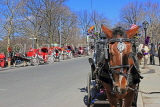 USA, New York, MANHATTAN, horse drawn carriages for hire, sightseeing, US4624JPL