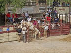 USA, Texas, SAN ANTONIO, Maxican Rodeo Fiesta, rider trying to control horse, US4302JPL