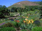 USA, Utah, SALT LAKE CITY, Red Butte Garden and Arboretum, UTH453JPL
