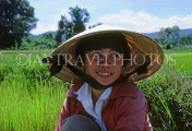 VIETNAM, Dalat, woman (farmer) in rice field, VT475JPL