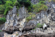 VIETNAM, Halong Bay, Ti Top Island, limestone fromations, VT1775JPL