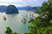 VIETNAM, Halong Bay, Ti Top Island, view towards limestone formations and cruise boats, VT1783JPL