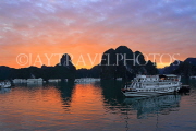 VIETNAM, Halong Bay, dawn, limestone formations and moored cruise boats, VT1813JP