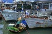 VIETNAM, Halong Bay, vegetable vendor in sampan, VT316JPL