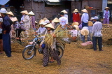 VIETNAM, Hoi An, pig market, VT359JPL