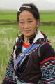 VIETNAM, Lao Cai province, Sapa, Black Hmong tribe woman, VT617JPL