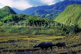 VIETNAM, Lao Cai province, Sapa, Hoang Lien mountain scenery and cultivated land, VT411JPL