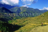VIETNAM, Lao Cai province, Sapa, Hoang Lien mountain scenery and cultivated land, VT503JPL