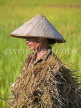 VIETNAM, Ninh Binh, portrait of a rice farmer, VT537JPL