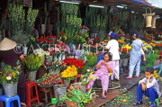 VIETNAM, Saigon (Ho Chi Minh City), Chinese quarter, Flower Market stalls, VT375JPL