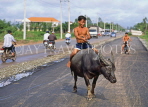VIETNAM, Tay Ninh, boy riding buffalo, VT120JPL