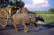 VIETNAM, Tay Ninh, buffalo and cart, rural scene, VT164JPL