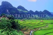 VIETNAM, rural scene, terraced rice fields, VT252JPL
