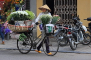Vietnam, HANOI, Old Quarter, Street Vendor, flower seller, VT1506JPL