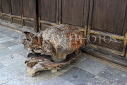 Vietnam, Ninh Binh, BAI DINH TEMPLE, Phap Chu Temple, ancient Turtle sculpture, VT2199JPL